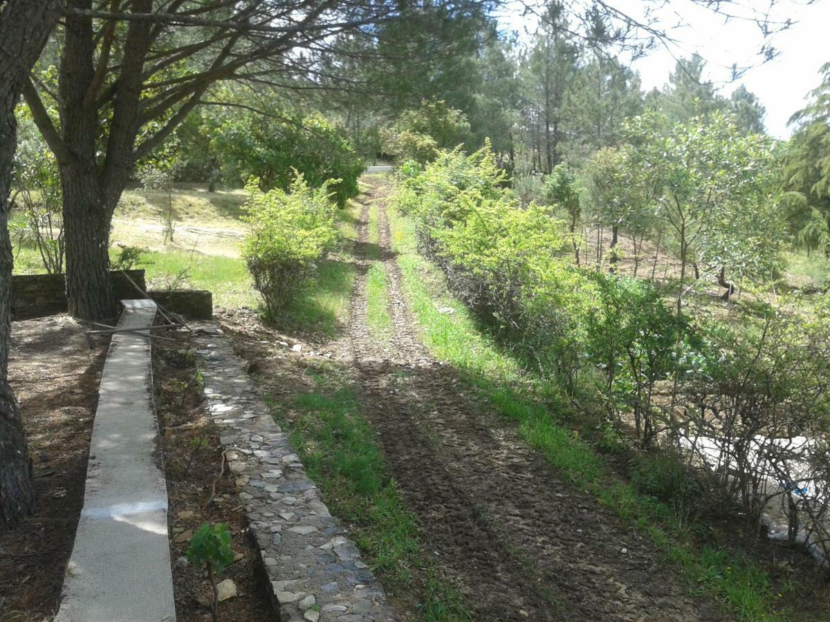 Quinta Das Lameirinhas Marvão Exterior foto